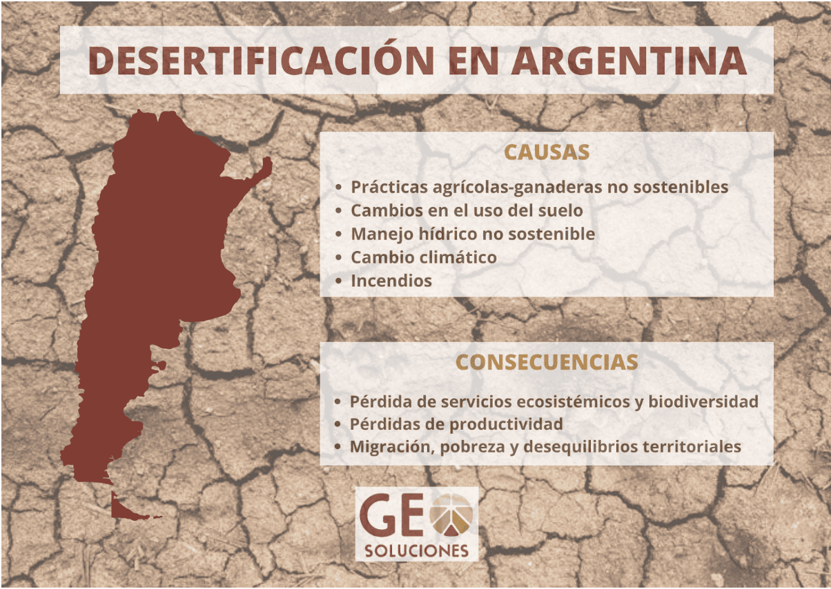 Desertificación en Argentina: causas, consecuencias y soluciones para frenar su avance